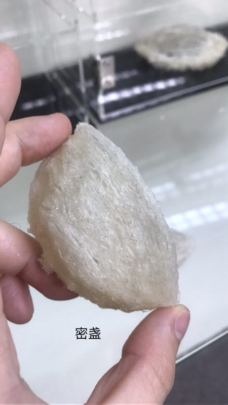 98566BD6-B0E8-4136-86E3-781A6129613C.jpeg
