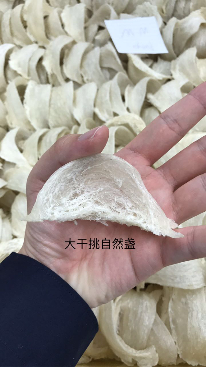 44CE54AA-7ED1-49DA-8D11-1E42A8C6F464.jpeg