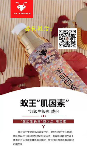 蚁王36肌因素.03